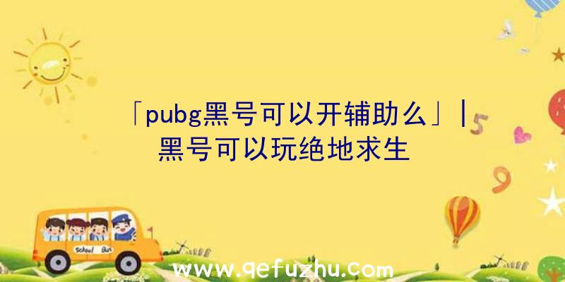 「pubg黑号可以开辅助么」|黑号可以玩绝地求生